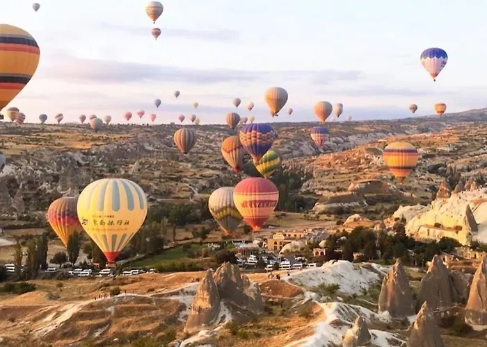 Kookaburra ホテル